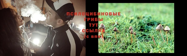 мяу мяу мука Алзамай