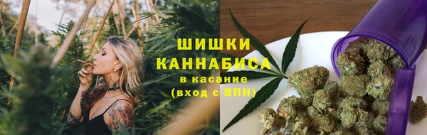 мяу мяу мука Алзамай