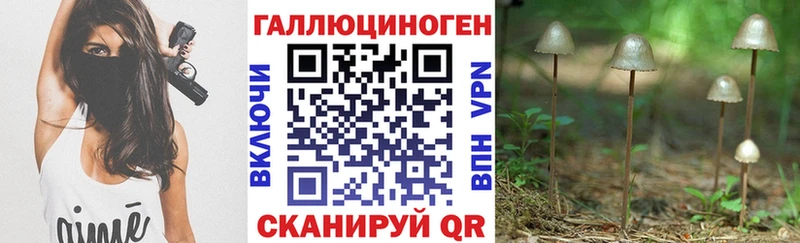 Псилоцибиновые грибы Psilocybine cubensis  купить наркоту  Дубна 